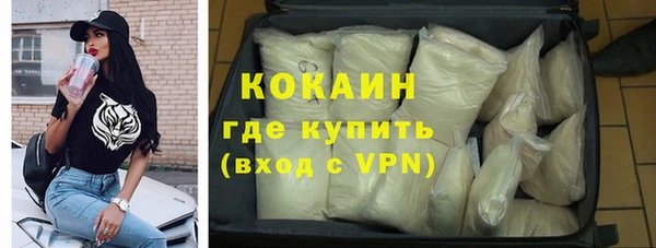 ешки Алексин