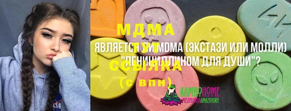 ешки Алексин